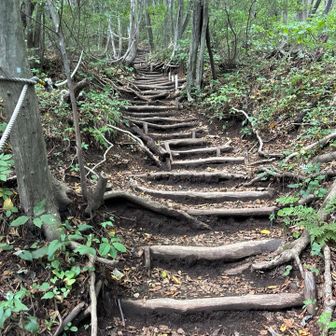 よく整備された登山道ですね
