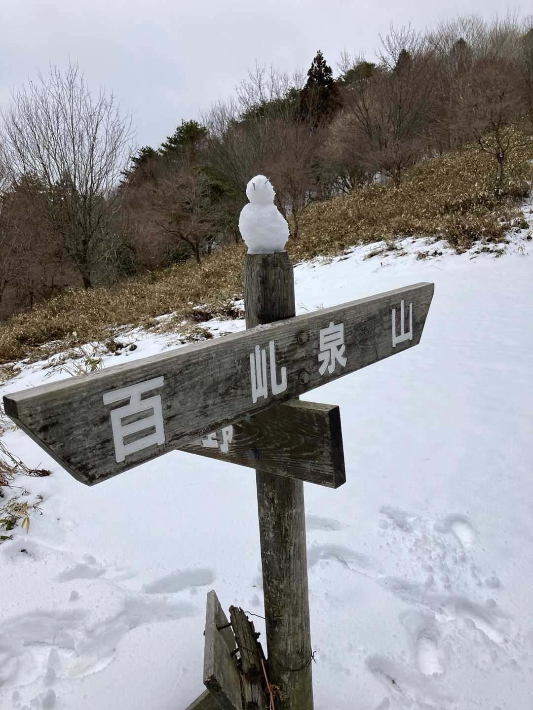 やっと福ヶタワに到着