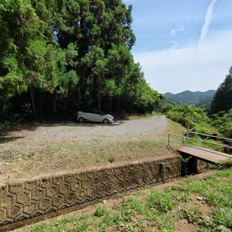 やはり1台のみ