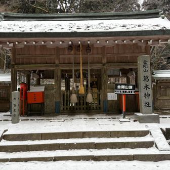今日が初詣⛩️
今年も笑顔あふれる一年でありますようにと手を合わせます🙏