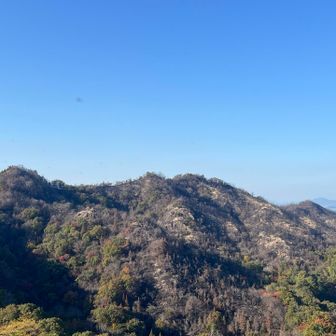 焼けた山🔥が目の前に　