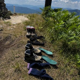 滝で水浴びするとき
濡れても良いサンダルもってきてたのに、
面倒で登山靴のまま突入したので
靴の中が濡れました🥲
ひなたに干しとこ♪笑