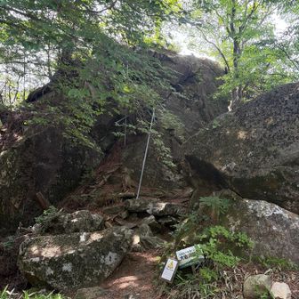 岩の上に上がれます