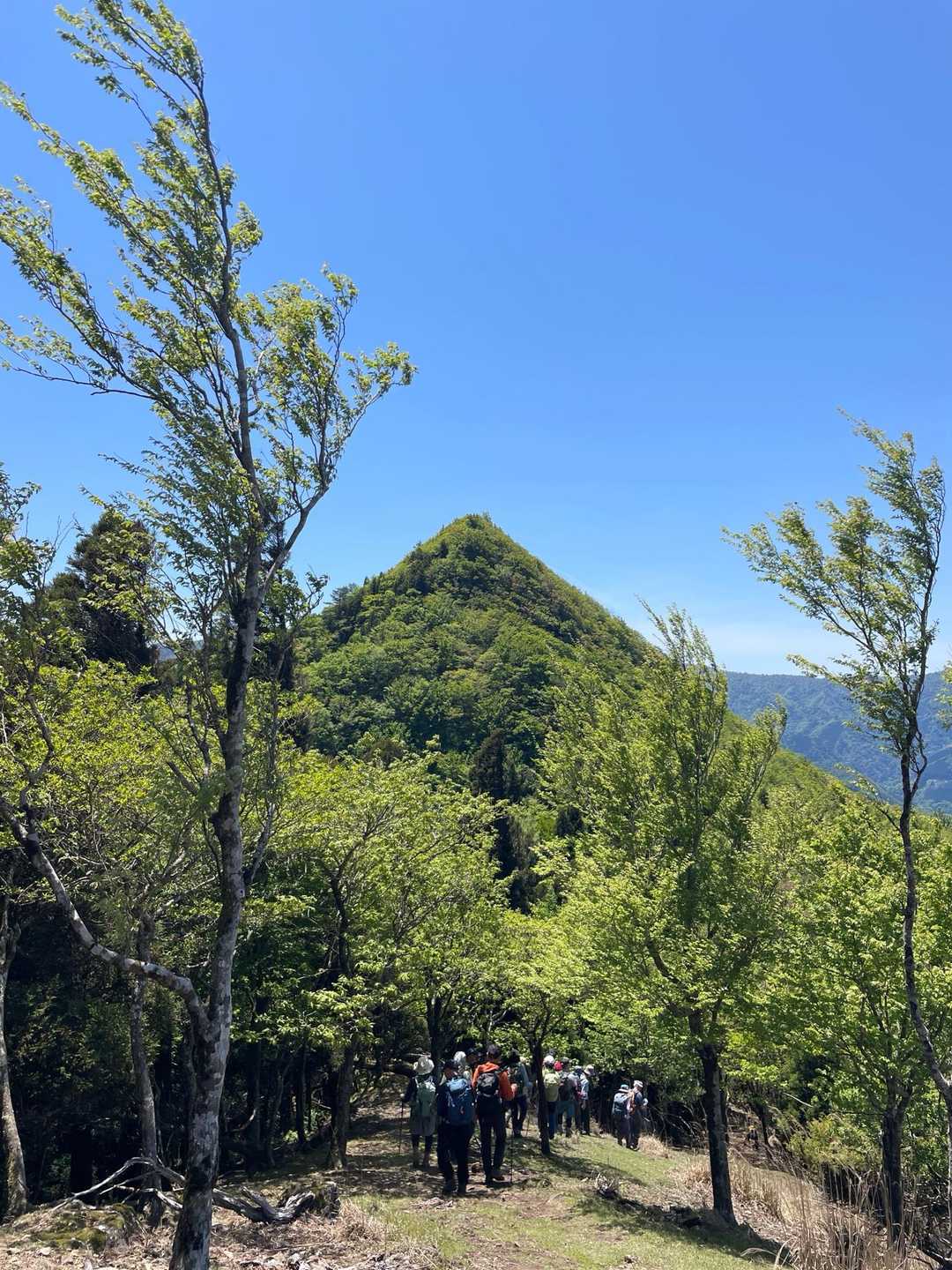 トンギリ山⛰️尖ってます
