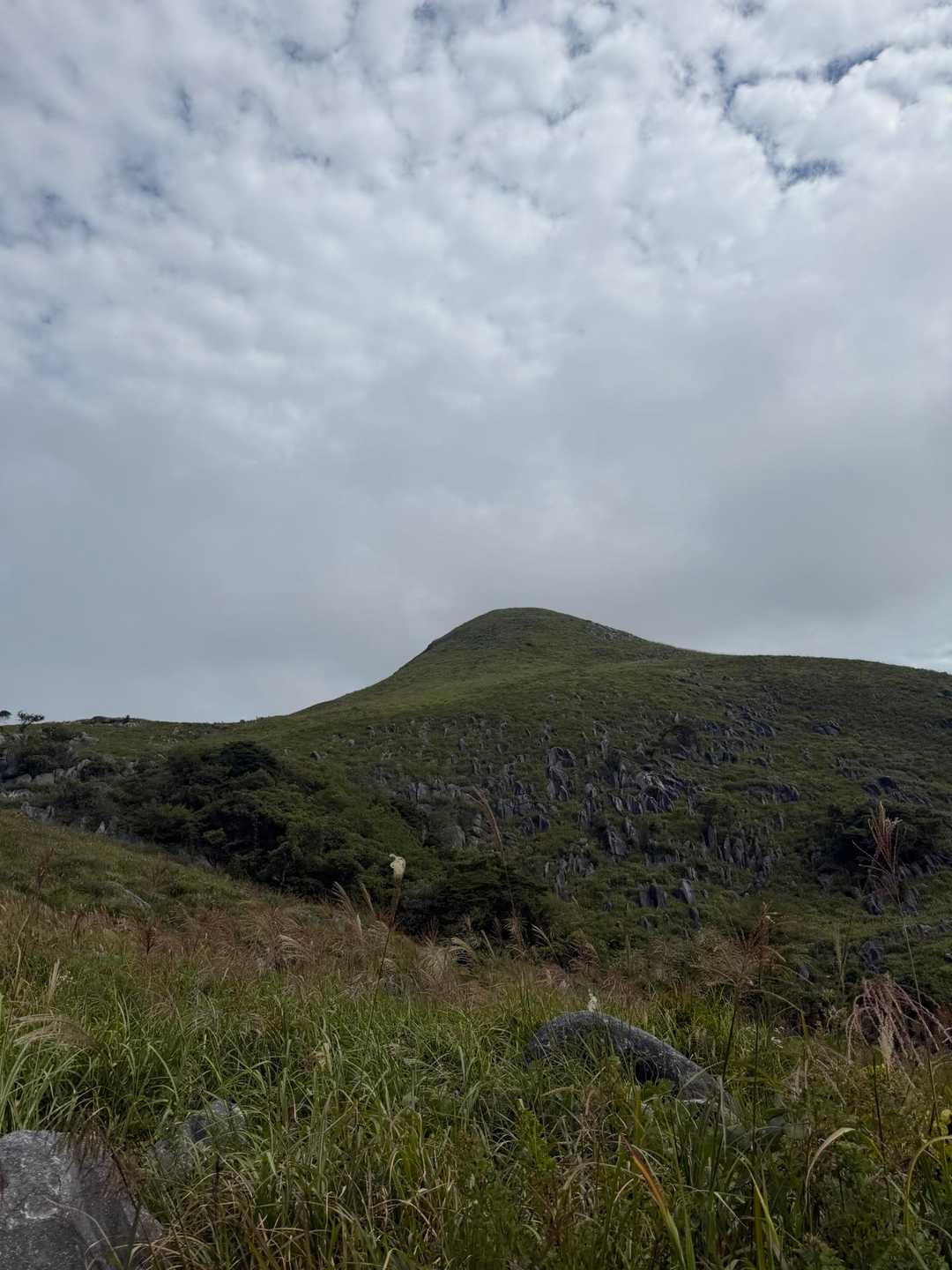 きれいなお山だね✨