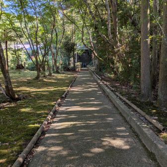 龍潭寺を通り抜ける道がハイキングコースになってました
思いがけずこんな素敵な場所に来られるなんて🤩