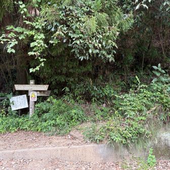 南東尾根の登山口を素通りし旧甲州街道を小仏峠に向かって進む。