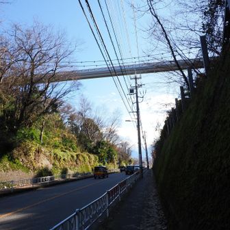 車通りが多くて横断できない💦
仕方なく大まわりしました。
