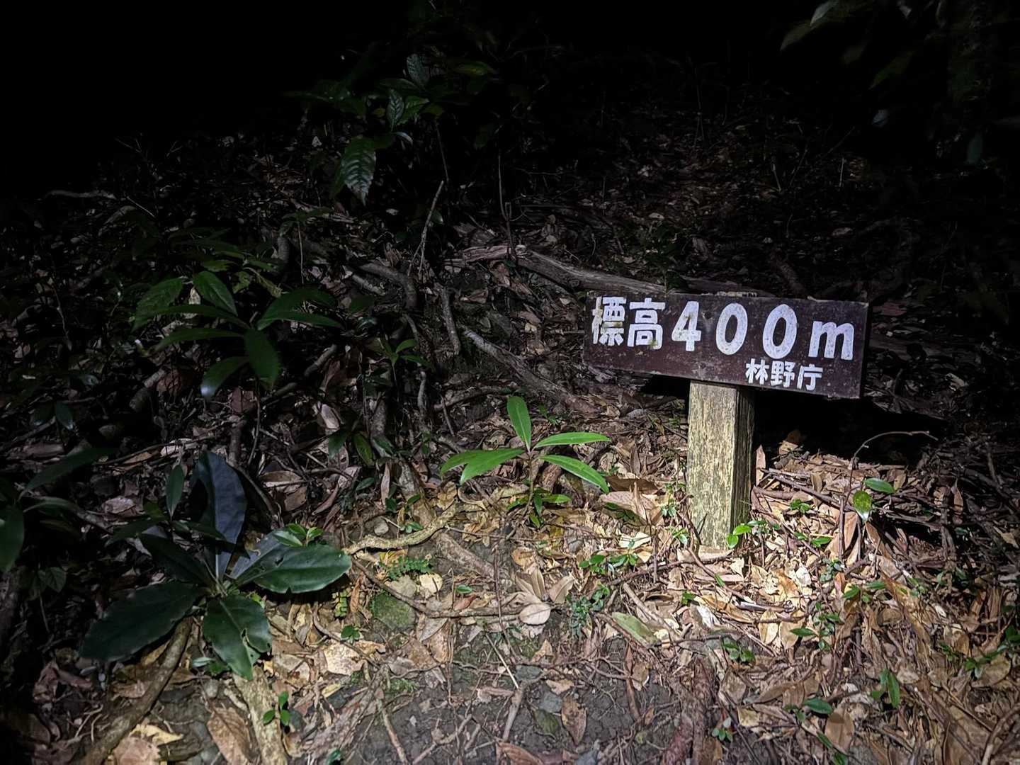 最初からひたすら登り続けます😮‍💨