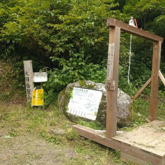 大日岳登山口
🐻にお知らせ🔔鳴らして　と