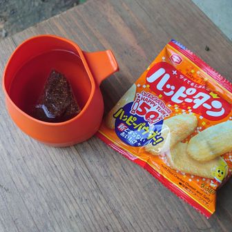 東屋で休憩