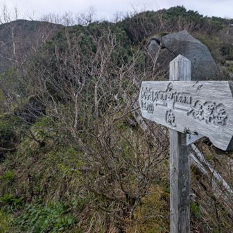 標識にはここから福島Bコースへの道が。一応踏み跡ぽいものはありました
