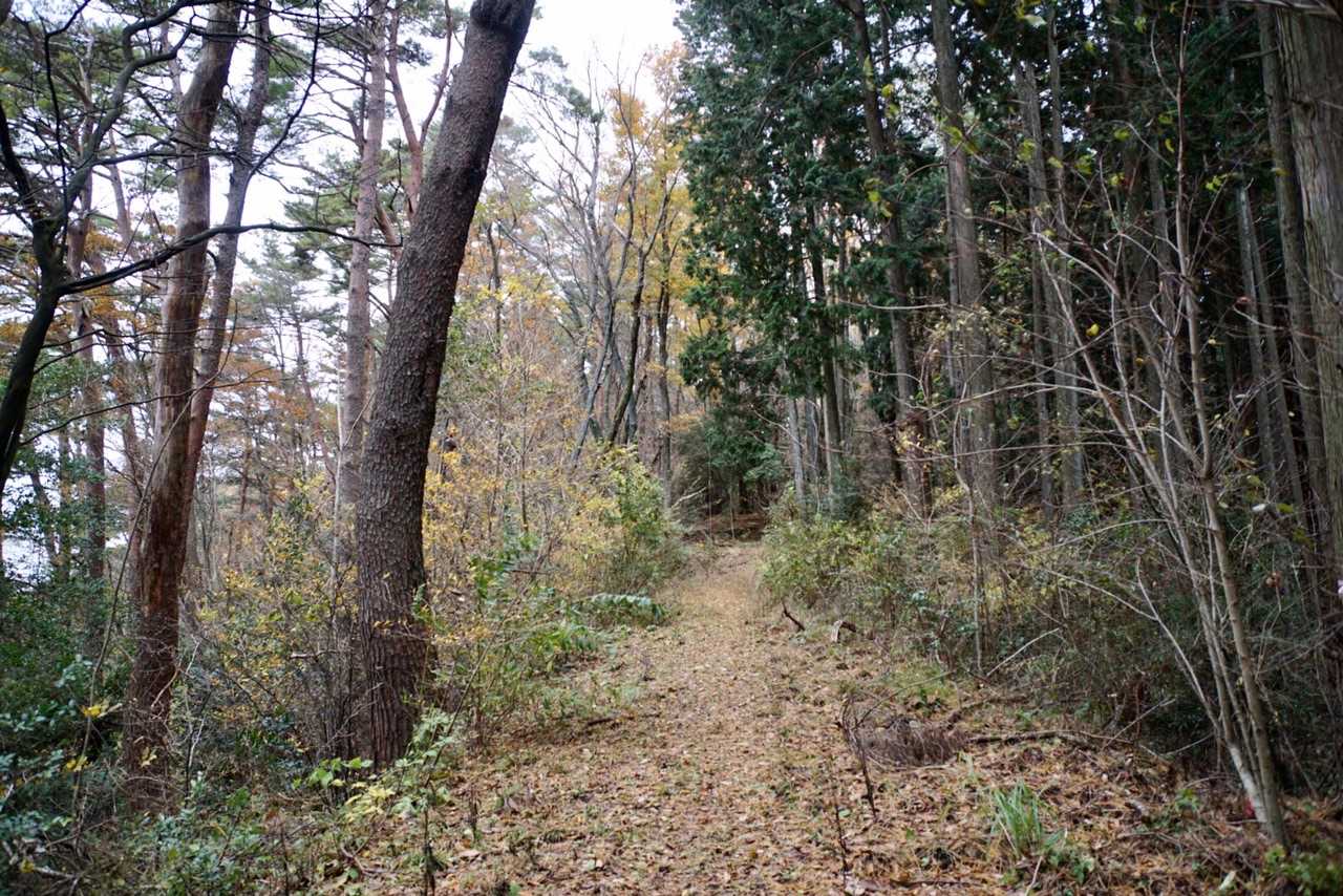 また登山道に出た