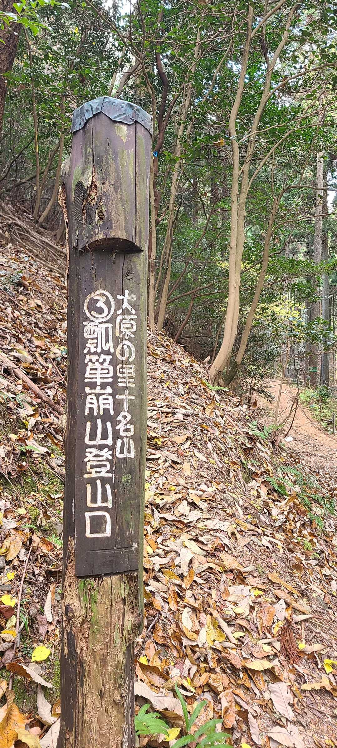 今日はお仲間がいるので行きたかった瓢箪崩山にも🥰
最初と山頂手前が急登でっす