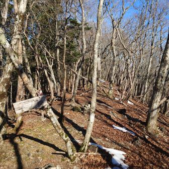 ヤマップ情報によるとこの先激下りらしいのでピストンせずにバリ突入するでぇ～　ハッパフミフミ😀