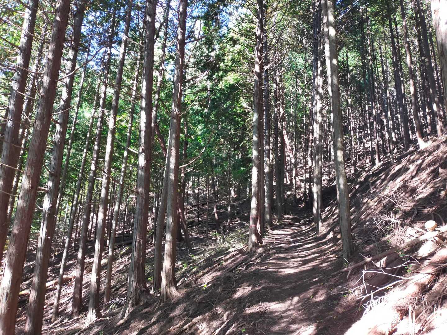日本有数の渓谷美を誇る昇仙峡　最高峰・弥三郎岳からのパノラマも！の写真