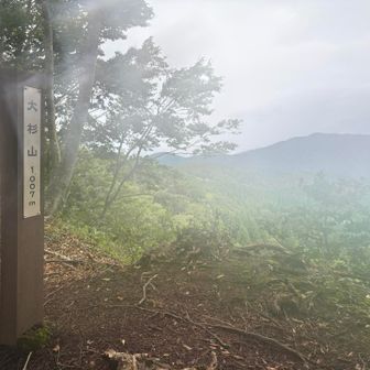 そこからはワイルドな登りのトレイルが5kmほど続く⛰️