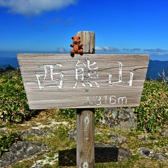 西🧸山 *