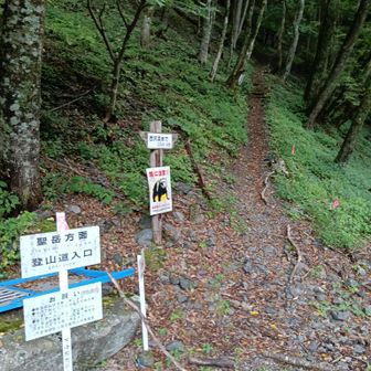 ここから登山スタート