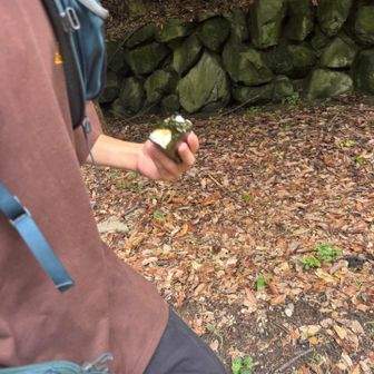 おおおおいいいい🤣
三男は食べながら登るのにハマった？！
めっちゃお腹空いたらしいです。
ちなみに長男も車でドーナツ食べてきました