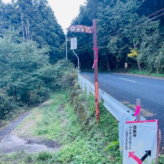 しばらく歩くと舗装道路と合流☺️左から出てきました🥹