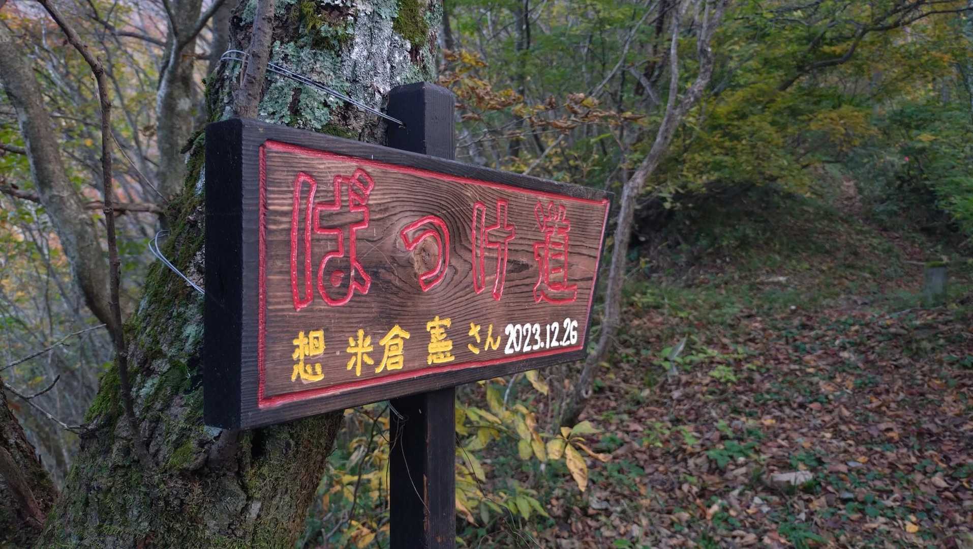 これ、これを拝見したかったのです。
ばっけさん、また来ましたよ～