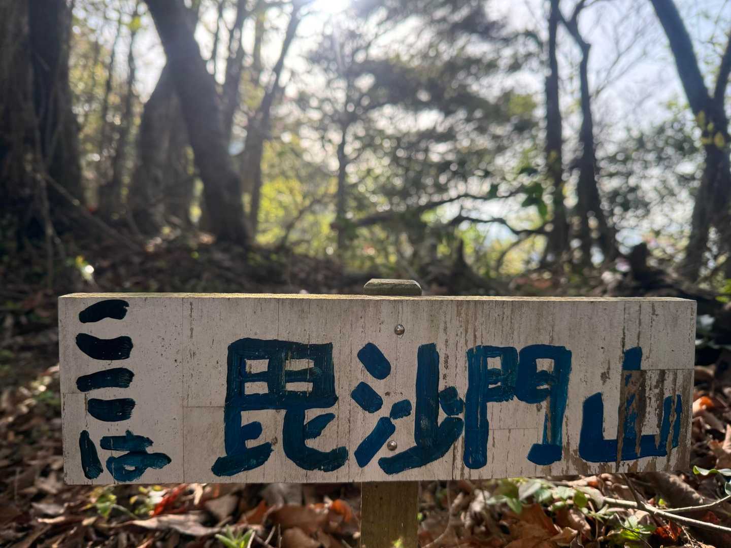 毘沙門洞-雨石山-小野峠-櫃ヶ嶽-ポイント 縦走コースの写真