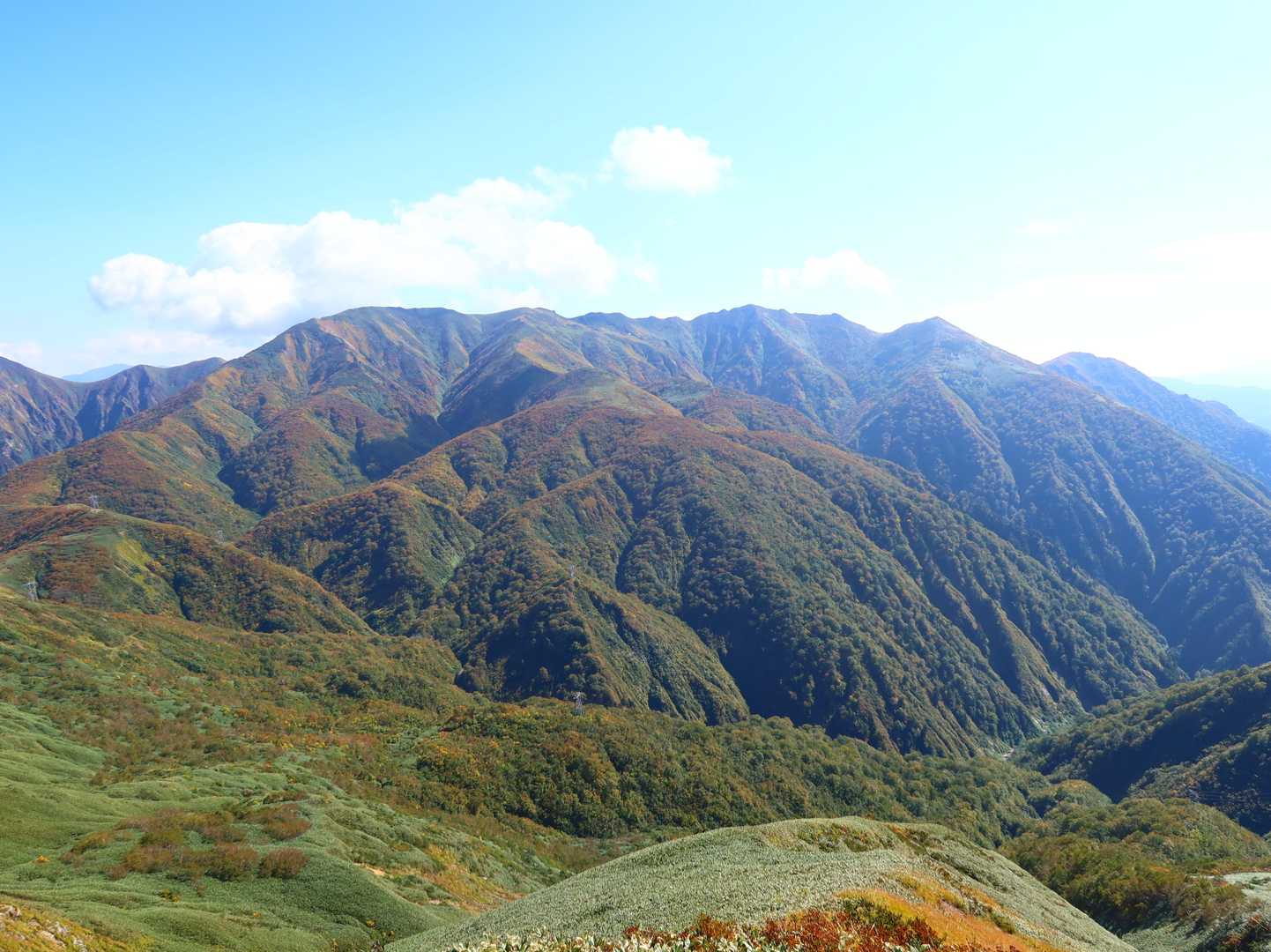 朝日岳、笠ヶ岳、白毛門
大源太山から見た時から角度も変わって日も高くなりキレイに見えます