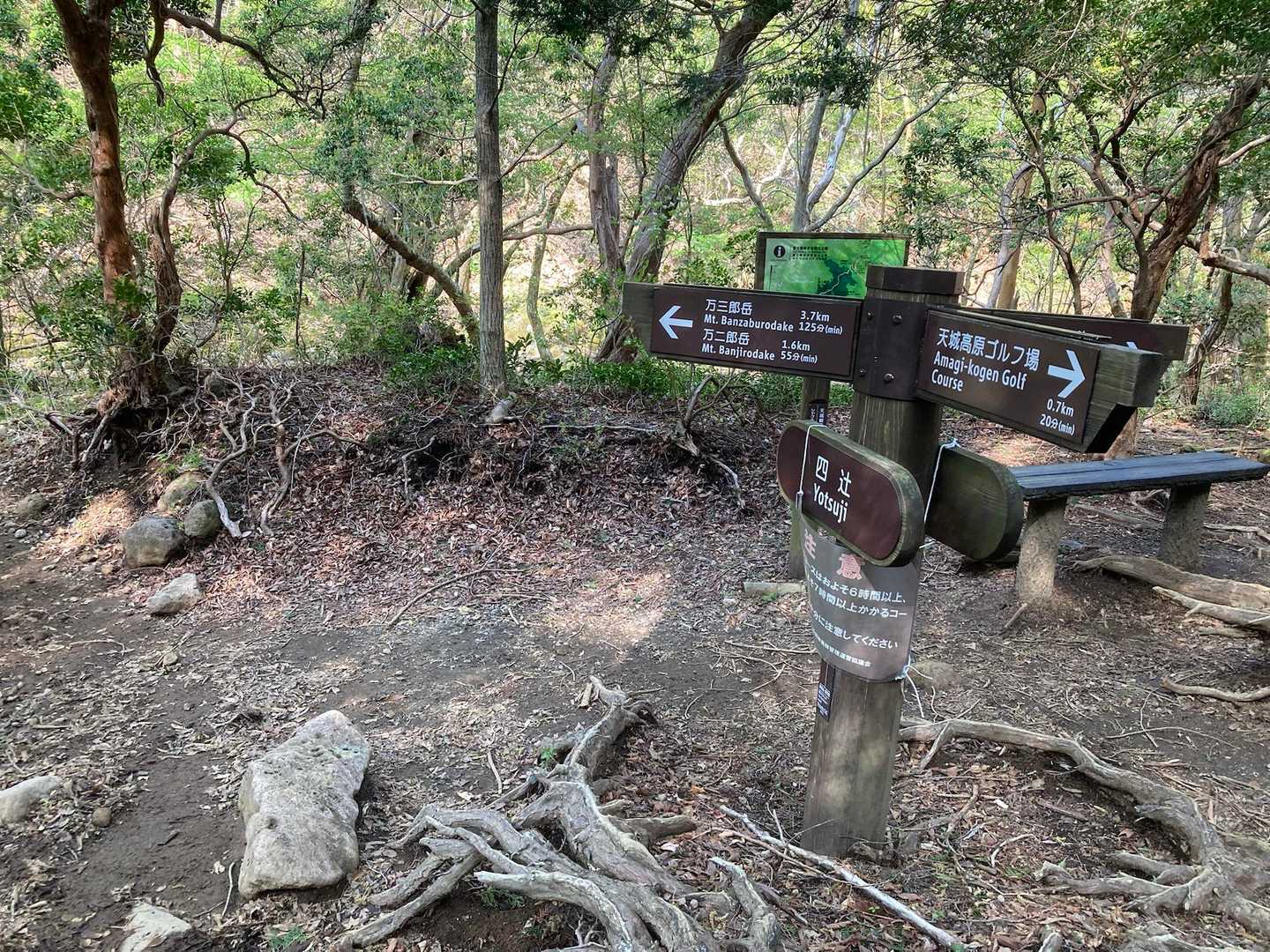 始めに万ニ郎岳に行くので
四辻の分岐を左へ🫲
周回して帰りは右から戻ってきます🫱