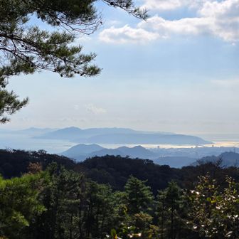 鳥居のところから　光る明石海峡と淡路島
お参りをすませます
