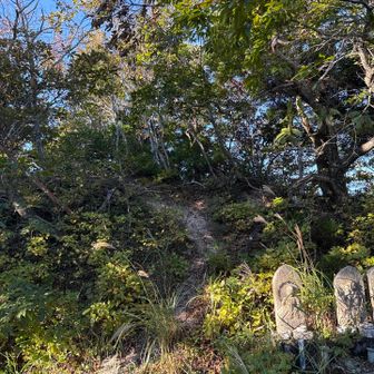 ルートを少し逸れて、比良明神に登頂。