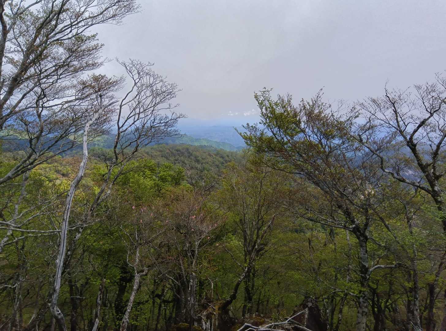 山頂からの景色