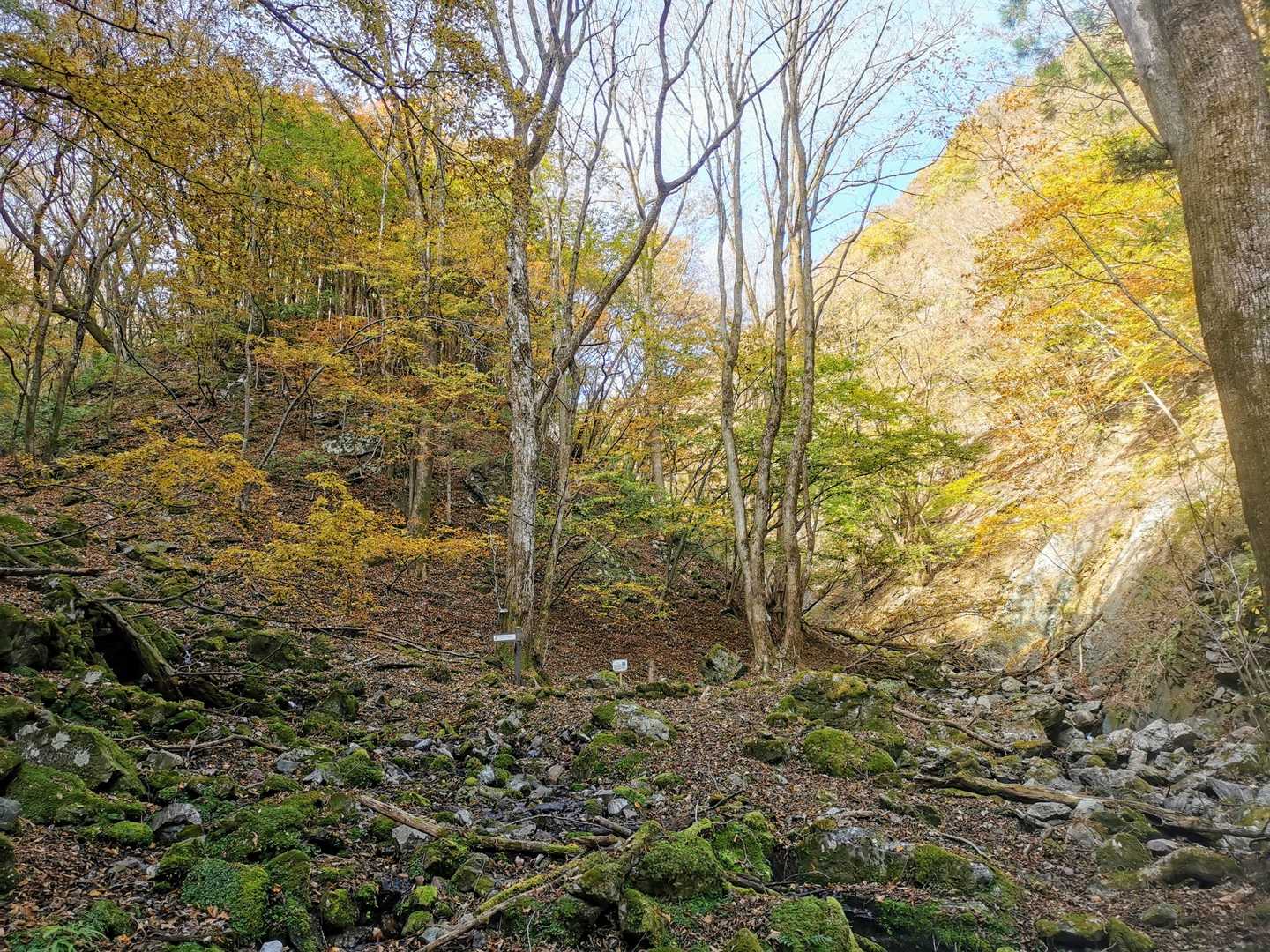 源流地点から少し下った、沢の合流地点。中央に道標あり。