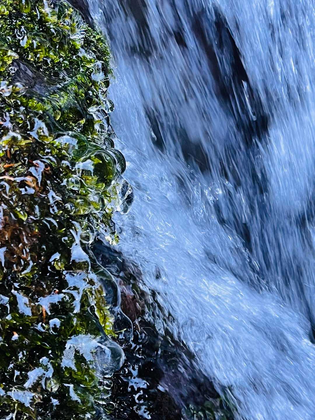 氷🧊が綺麗😍