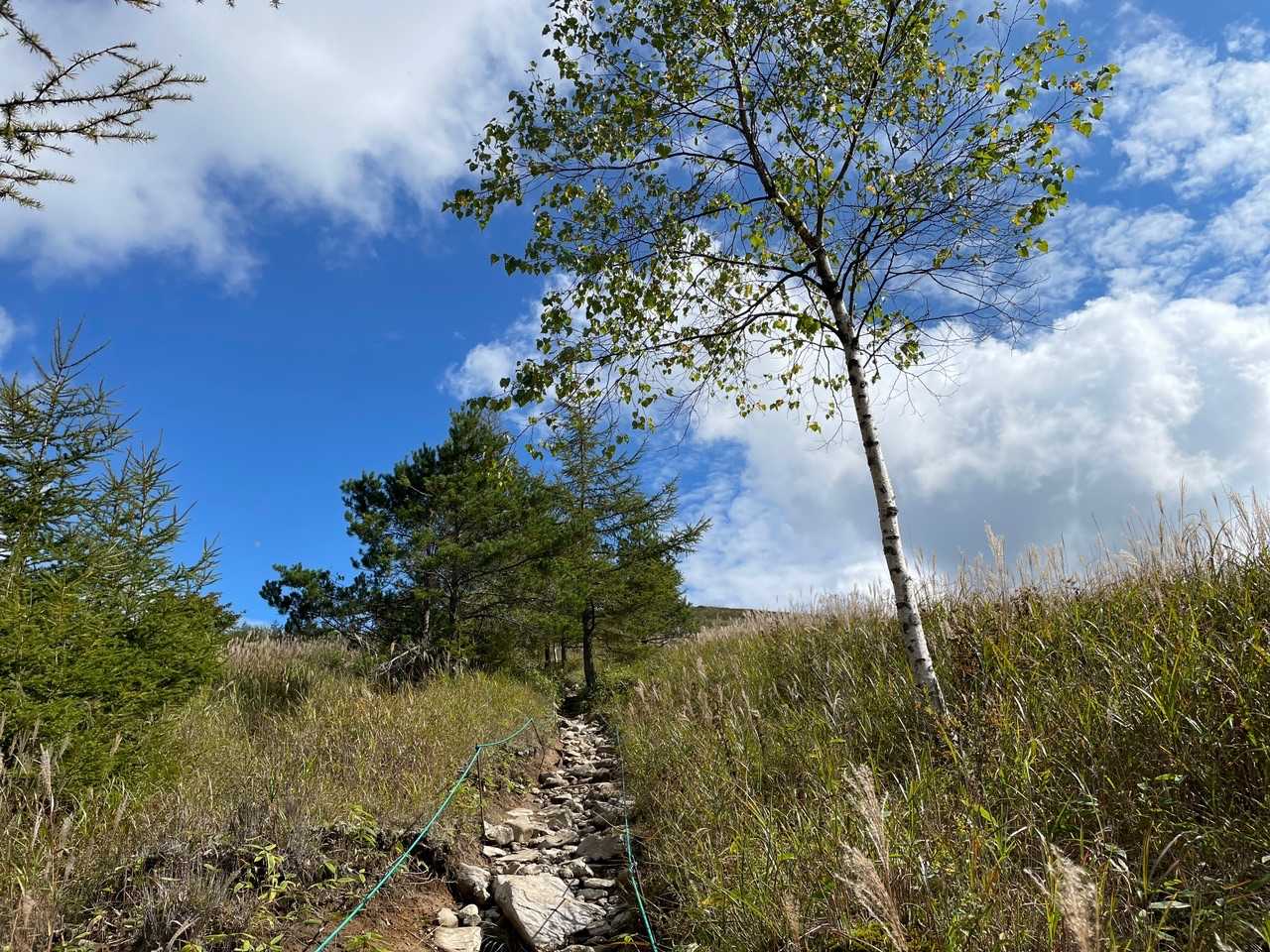 蝶々深山 周回コースの写真