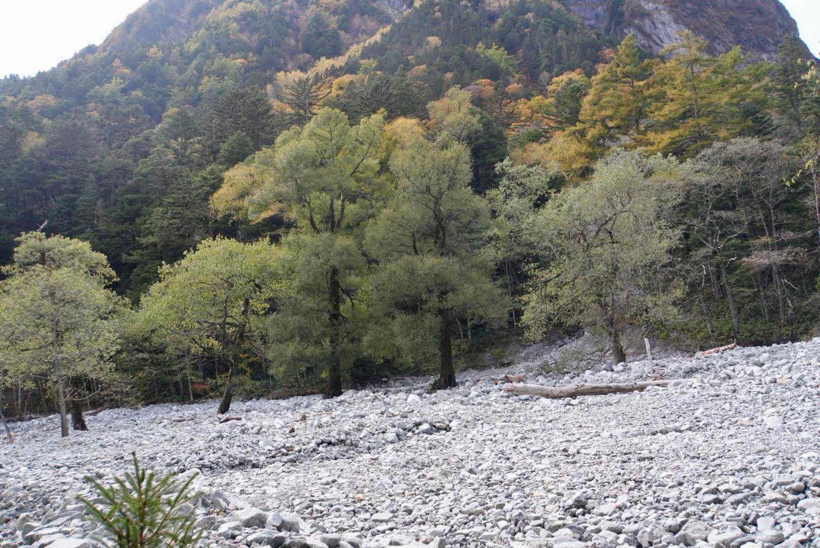 横尾目指して🚶‍♂️