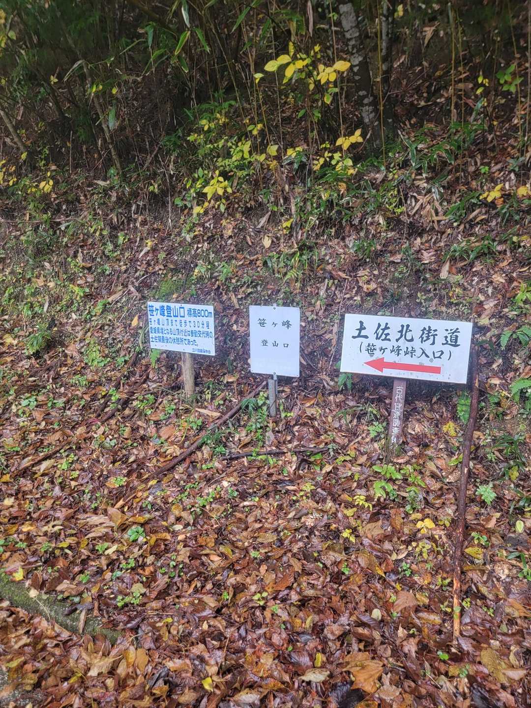 登山口。土佐北街道