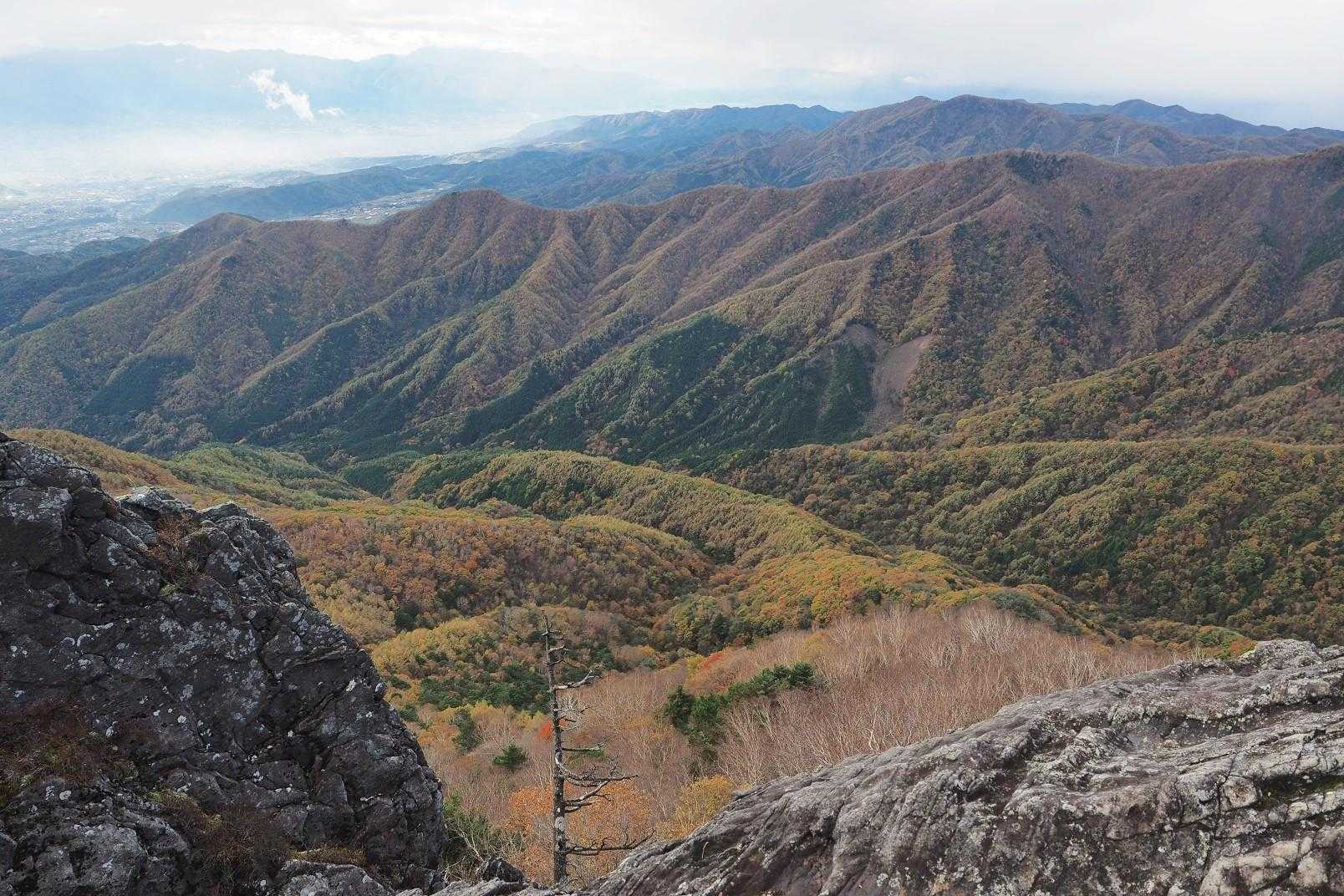 良き🍁
