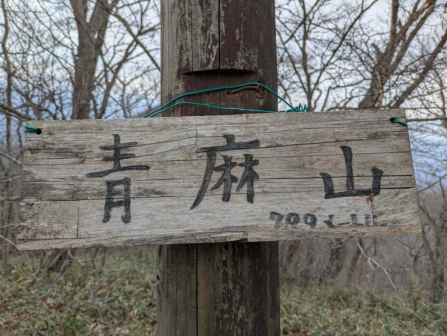 花だけ見て帰るはずだったのに…
やっぱり山頂踏むんだよね…😅