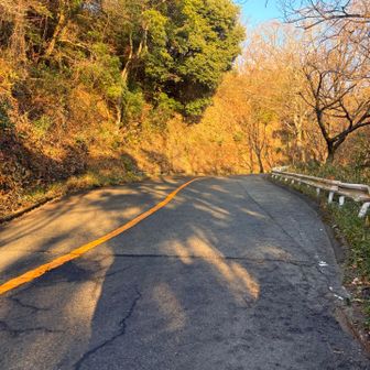 ここ少し舗装路歩く。朝やから？車走ってなくて良かったけど ちょっと危ないな。