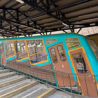 まだまだ綺麗な車両🚃
そう言えば廃線のニュースをTVで見た記憶が...
廃線前に乗りに来ればよかったなぁ🥺