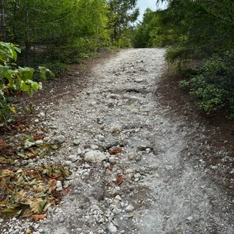 登山道は火山灰の道
