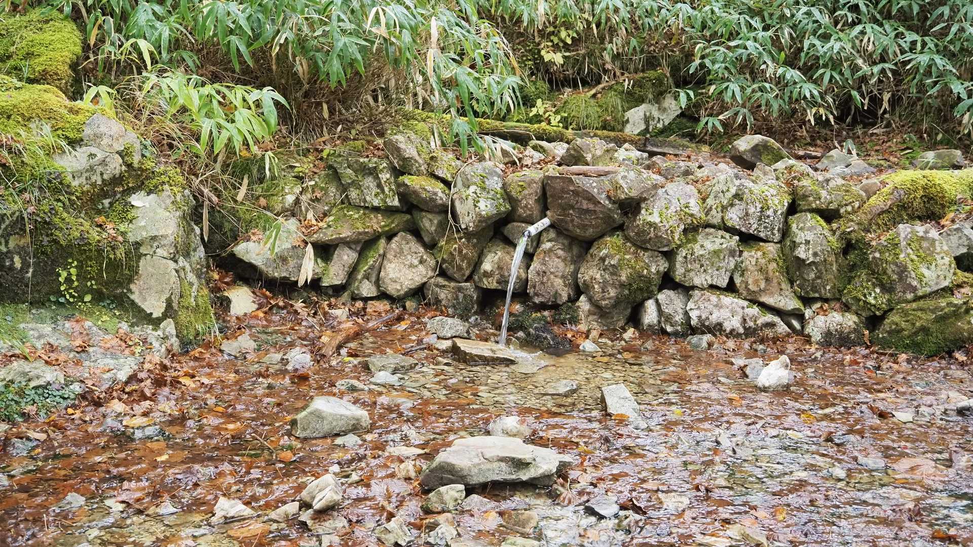 ビジターセンター-大台ヶ原山（日出ヶ岳） 往復コースの写真