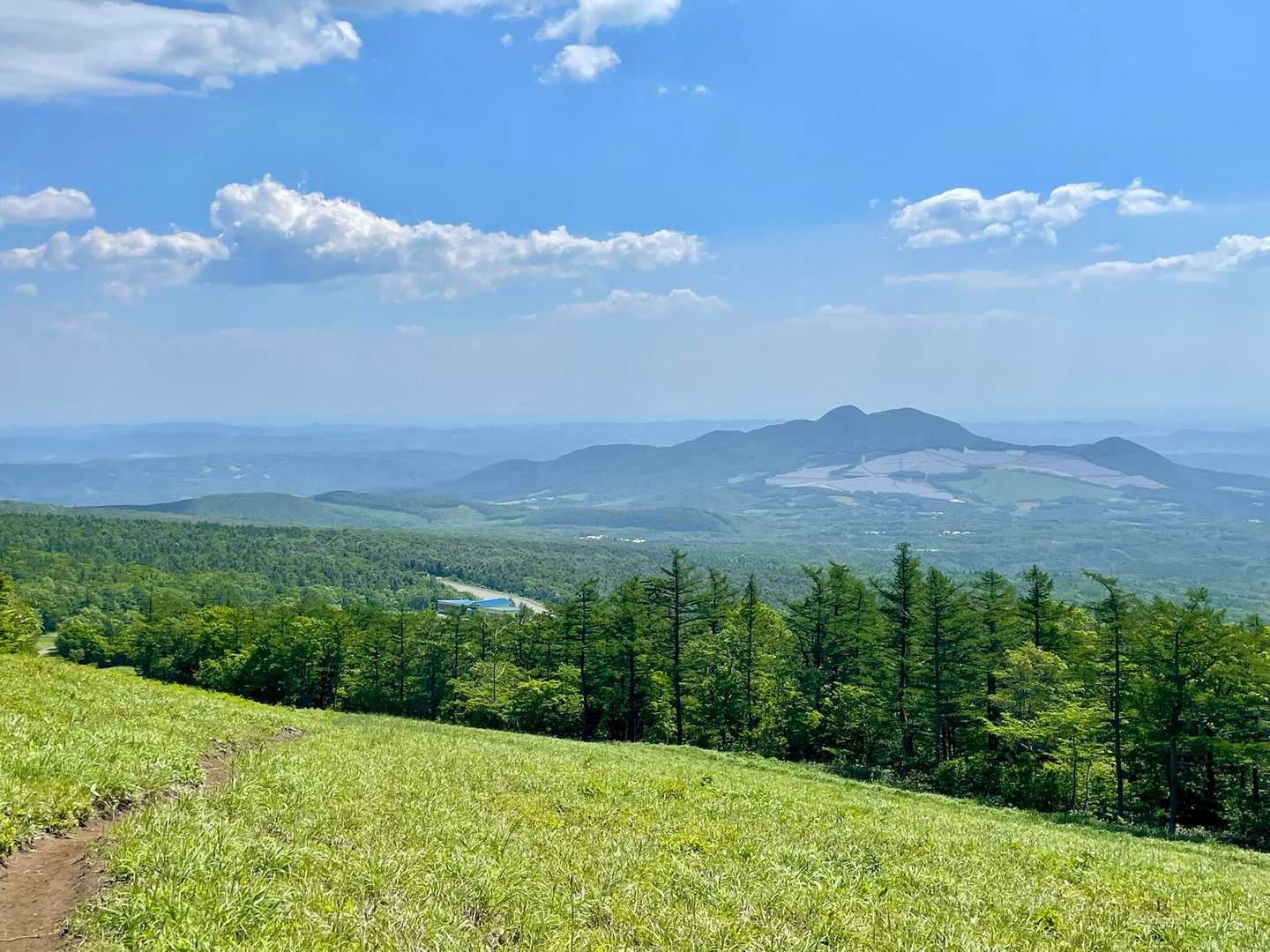ちょっと残念な姿の青麻山　最近熊さん出ましたね🐻