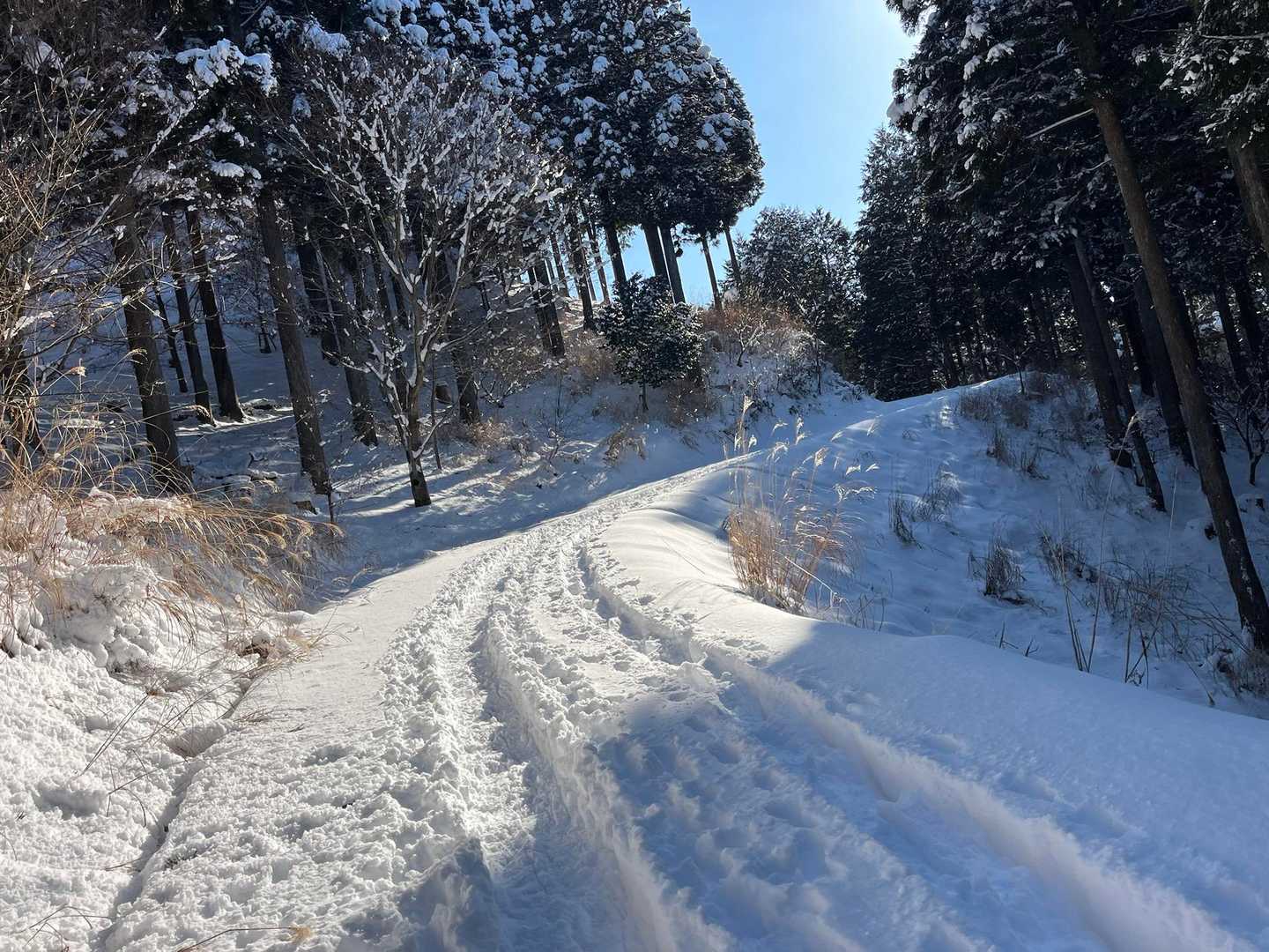 登山客多いのですね
トレースしっかり