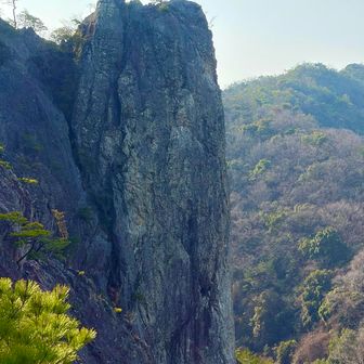 近付いてきた。でかい🤩
