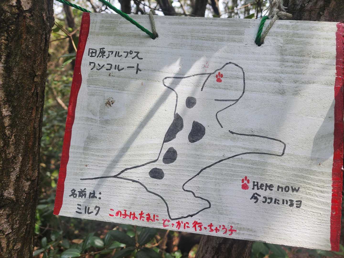 細かいところまで拘っている感が凄い…でも所々雑な感じも