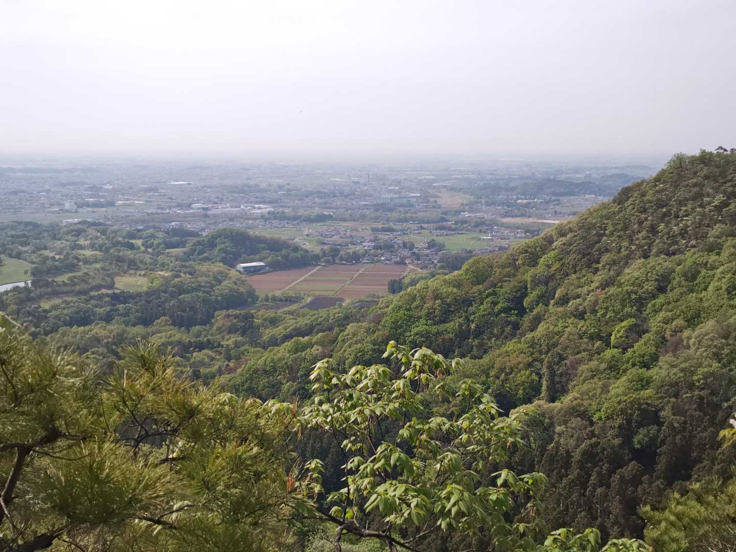 出尾根コース登山口-三床山-天ヶ岳-林山-金原山 周回コースの写真