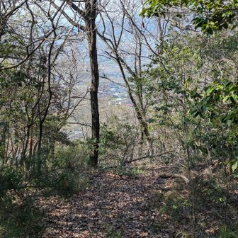 眺望はこれだけ👀