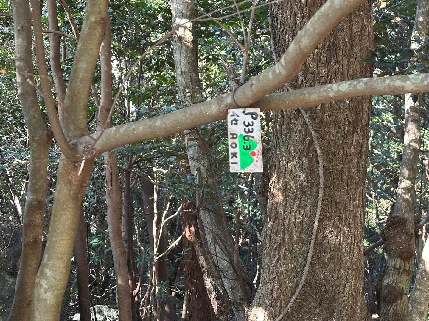 青峰山は？
ウロウロと青峰山と書かれたものを探したり、別にピークがあったりするのか探してみたけどここが青峰山😅
他に登られた方の活動日記も確認してみたけどここで正解らしい😅
ここからは海は見えませんでした😭